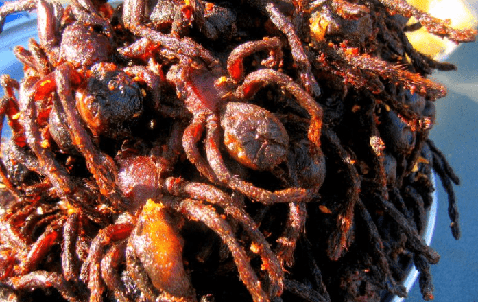 Tarántula crujiente de Camboya