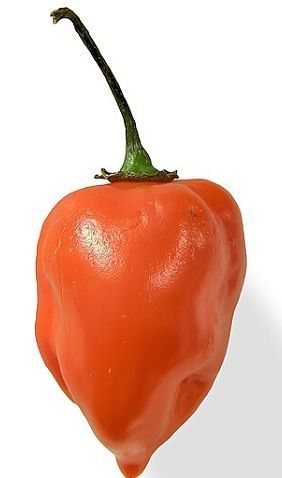 Habanero y Scotch Bonnet